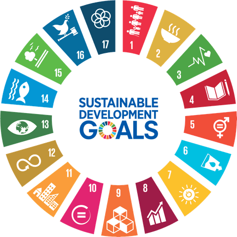 17 Sustainable Development Goals (SDGs) 17 Sustainable Development Goals (SDGs)