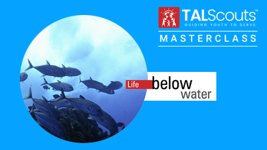SDG-life-below-water